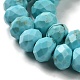 Dyed Natural Howlite Beads Strands(G-G023-A01-01A)-4