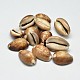 Perles ovales en coquillage naturel(BSHE-O007-44)-1