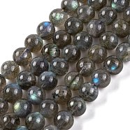 Grade AA Natural Gemstone Labradorite Round Beads Strands, 6mm, Hole: 0.8mm, about 62pcs/strand, 15.55 inch(39.5cm)(G-E251-33-6mm-01)