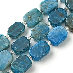 Natural Apatite Beads Strands, with Seed Beads, Rectangle, 11.5~12.5x7.5~10x5~6.5mm, Hole: 0.8~0.9mm, about 13pcs/strand, 7.68~8.07 inch(19.5~20.5cm)(G-C098-A09-01)