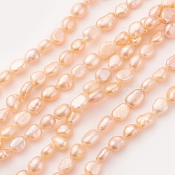 Natural Cultured Freshwater Pearl Beads Strands, Nugget, Light Salmon, 6~9x6~7mm, Hole: 0.5mm, about 47pcs/strand, 14.1~14.3 inch(36~36.5cm)(PEAR-G007-12-01)