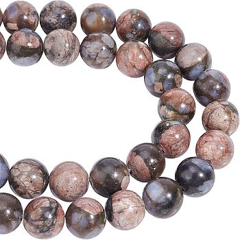 2 Strands Natural Glaucophane Beads Strands, Round, 8~9mm, Hole: 1mm, about 47pcs/strand, 15.1 inch