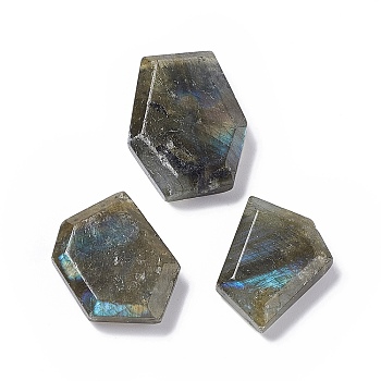 Natural Labradorite Pendants, Polygon Charms, 21~26x16~19x6mm, Hole: 1.4mm