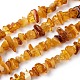Natural Amber Chip Beads Strands(G-E271-81)-1