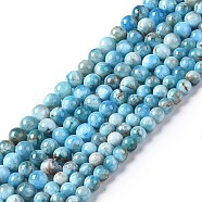 Natural Apatite Beads Strands, Grade AB, Round, Grade AB, 4.5mm, Hole: 0.7mm, about 83~106pcs/strand, 14.76~18.78 inch(37.5~47.7cm)(G-I254-08E)