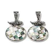 Natural Paua Shell Pendants, Antique Silver Plated Alloy Oval Charms, Seashell Color, 47x41x9mm, Hole: 16x7mm(FIND-Z032-04C)