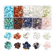 150G 10 Style Natural & Synthetic Gemstone Beads, Chip, 4~10x4~8x2~4mm, hole: 1mm, about 15g/style(G-FS0002-13)