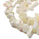 Natural Trochus Shell Beads Strands(SSHEL-H072-04)-3
