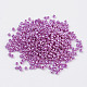 Glass Seed Beads(E06900F2)-1