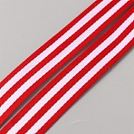 Polyester Striped Ribbons, Garment Accessories, White, Red, 5/8 inch(15mm)(DIY-WH0580-13D)