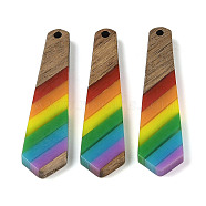 Pride Rainbow Theme Resin & Walnut Wood Pendants, Trapezoid, 48.5x12x3.5mm, Hole: 2mm(WOOD-K012-12C)