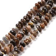 Natural Black Sunstone Beads Strands, Chip, 5~18x3~9x2~5mm, Hole: 1mm, about 67~69pcs/strand, 15.55''(39.5~40cm)(G-D480-A03)