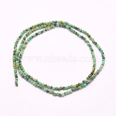 Natural African Turquoise(Jasper) Beads Strands(G-F509-29-2mm)-2