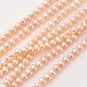 Natural Cultured Freshwater Pearl Beads Strands(PEAR-G007-09)-1