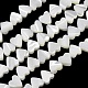 Natural Trochid Shell/Trochus Shell Beads Strands(SH-CBA2978-10)-1