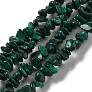 Natural Malachite Beads Strands, Chip, 1.5~5x3~13x2~8mm, Hole: 0.6mm, 30.94~31.97''(78.6~81.2cm)(G-G0003-B41)