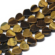 Natural Tiger Eye Bead Strands, Heart, 10x10x5mm, Hole: 1.5mm, about 40pcs/strand, 14.5 inch(G-T074-01)