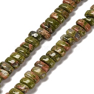 Natural Unakite Beads Strands, Rectangle, 9x4x4.5mm, Hole: 1mm, about 93pcs/strand, 15.28 inch(38.8cm)(G-Q167-B17-01)