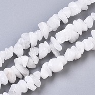 Natural White Moonstone Beads Strands, Chip, 5~15x3~10x1~7mm, Hole: 1mm, about  240~270pcs/Strand, 33.07~34.64 inch(84~88cm)(G-S363-018)