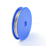 Round Copper Craft Wire, for Jewelry Making, Silver, 0.3mm, about 120m/roll(X-CWIR-E004-0.3mm-S)