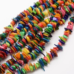 Dyed Chip Natural Freshwater Shell Beads Strands, Shell Shards, Colorful, 7~14x1~5mm, Hole: 1mm, about 29.9 inch(X-SHEL-E355-16)