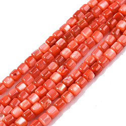 Natural Freshwater Shell Beads Strands, Dyed, Column, Orange Red, 3.5x3.5mm, Hole: 0.8mm, about 110~113pcs/strand, 14.69 inch~15.08 inch(37.3~38.3cm)(SHEL-N003-33-A06)