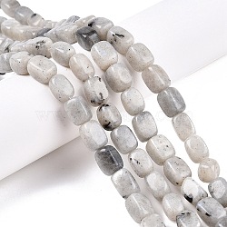 Natural Labradorite Beads Strands, Cuboid, 10~12x8~9x7~8mm, Hole: 1.2mm, about 33pcs/strand, 15.35''(39cm)(G-T138-85)