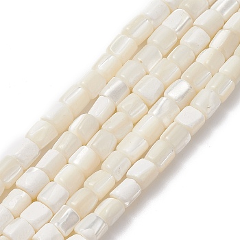 Natural Sea Shell Column Bead Strands, 7x6mm, Hole: 1mm, about 63pcs/strand, 15.7 inch