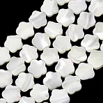 Natural Trochid Shell/Trochus Shell Beads Strands, Flower, White, 9.5~10x10x2~2.5mm, Hole: 0.5mm, about 19pcs/strand, 7.20''(18.3cm)(SH-CBA2978-08)