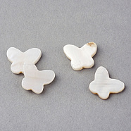 Natural Sea Shell Beads, Butterfly, Creamy White, 11.5x14x2.5mm, Hole: 1.5mm(X-SSHEL-Q296-30)