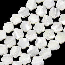 Natural Trochid Shell/Trochus Shell Beads Strands, Flower, White, 9.5~10x10x2~2.5mm, Hole: 0.5mm, about 19pcs/strand, 7.20''(18.3cm)(SH-CBA2978-08)