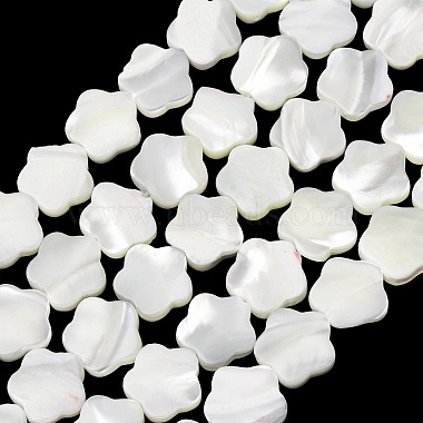 Natural Trochid Shell/Trochus Shell Beads Strands(SH-CBA2978-08)-1