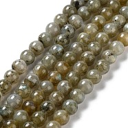 Natural Labradorite Beads Strands, Round, 6mm, Hole: 1.2mm, about 66pcs/strand, 15.94 inch(40.5cm)(G-G065-A01-01)