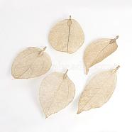 Electroplated Natural Leaf Big Pendants, with Iron Findings, Light Gold Plated, 55~85x25~40x1mm, Hole: 3x6mm(IFIN-Q119-02D)