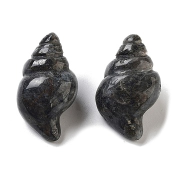 Natural Larvikite Carved Figurines, for Home Office Desktop Decoration, Shell Shape, 36~38x20.5~22x17~19.5mm