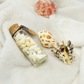Glass Wishing Bottles, with Shell, Noctilucent powder and Wishing Paper Inside, Floral White, 77x27mm