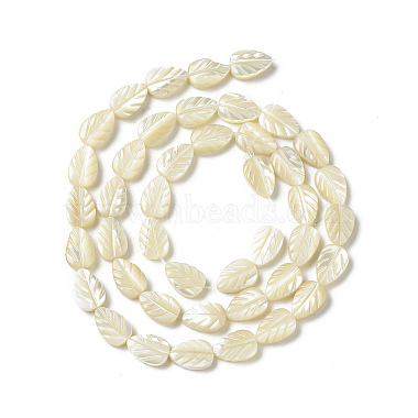 brins de perles de coquille de trochid / trochus shell(SHEL-F004-14)-2