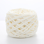 Soft Crocheting Polyester Yarn, Thick Knitting Yarn for Scarf, Bag, Cushion Making, Floral White, 6mm, about 100m/skein(SENE-PW0020-04-02)