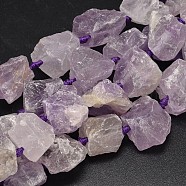 Nuggets Natural Amethyst Bead Strands, Lilac, 16~28x9~20x10~25mm, Hole: 1mm, about 16~17pcs/strand, 15.5 inch(G-F289-34A)