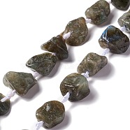 Natural Labradorite Beads Strands, Nuggets, 16~36.8x13~28.5x8~21mm, Hole: 2~3.8mm, about 13pcs/strand, 16.26~17.52''(41.3~44.5cm)(G-B024-12)