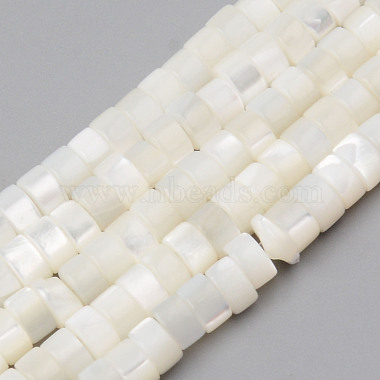 White Flat Round Trochus Shell Beads