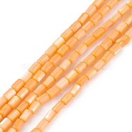 Natural Freshwater Shell Dyed Beads Strands, Column, Orange, 4.8x3mm, Hole: 0.8mm, about 78pcs/strand, 14.96''(38cm)(SHEL-M018-12-07)
