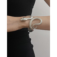 Alloy Open Bangles for Women, Snake, Platinum, 3/8~3-1/2 inch(1~8.8cm), Inner Diameter: 2-3/8x1-3/4 inch(6.05x4.55cm)(BJEW-K253-01P)