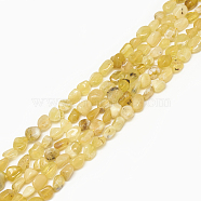 Natural Yellow Opal Beads Strands, Tumbled Stone, Nuggets, 4~15x4~8x3~7mm, Hole: 1mm, about 40~70pcs/strand, 15.7 inch(G-S301-09)