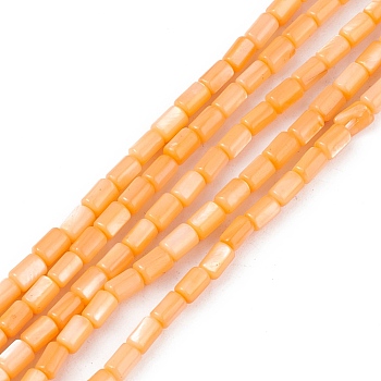 Natural Freshwater Shell Dyed Beads Strands, Column, Orange, 4.8x3mm, Hole: 0.8mm, about 78pcs/strand, 14.96''(38cm)