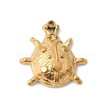 304 Stainless Steel Pendants(STAS-K255-23G)-1