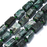 Natural Dioptase Beads Strands, Nuggets, 11~14x6~8mm, Hole: 0.9mm, about 28~32pcs/strand, 15.75''(40cm)(G-O170-156)