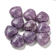 Natural Lepidolite Beads, Half Drilled, Heart, 15.5x15.5x8mm, Hole: 1mm(G-P531-A34-01)
