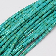 Synthetic Turquoise Beads Strands, Dyed, Column, Light Sea Green, 5x3mm, Hole: 1mm, about 72pcs/strand, 15.2 inch(X-TURQ-G120-3x5mm-13)