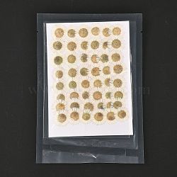 Centaurea Iberica Embossing Dried Flower, for Cellphone, Photo Frame, Scrapbooking DIY Handmade Craft, Beige, 13~19x17~22mm, 48pcs/bag(DIY-K032-65J)